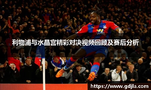 zoty中欧官方网站