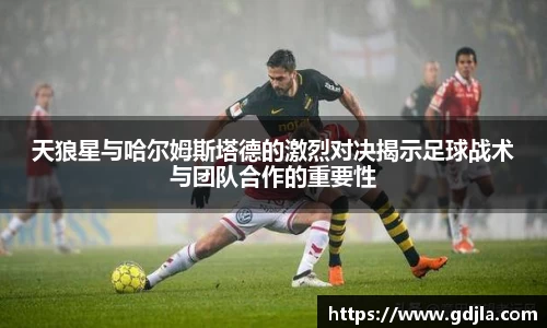 zoty中欧官网