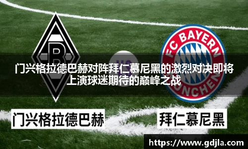 zoty中欧官方网站