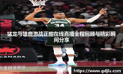 zoty中欧
