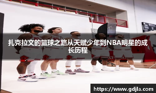zoty中欧官方网站