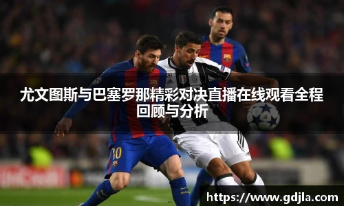 zoty中欧官方网站